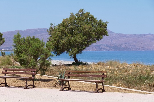 Thumbnail of beach, pavement and seats